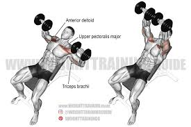 Incline Dumbbell Press Form