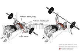 Decline Barbell Press Form