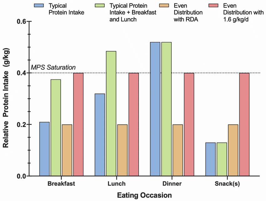 Graphical representation of protein intake throughout the day with differing total and