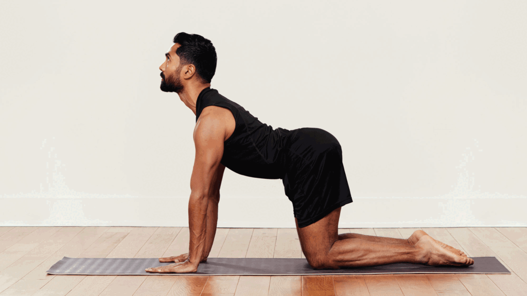 15 Lower Back Stretches for Fast Pain Relief and Flexibility 2 cat cow 1